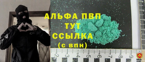 крисы Алзамай