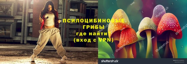 крисы Алзамай